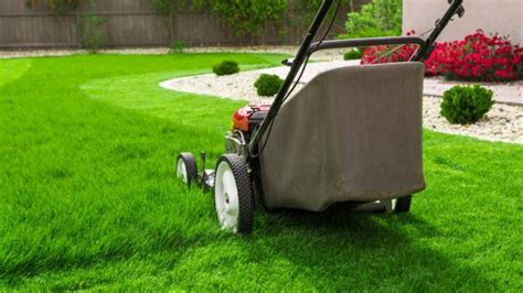 Troubleshooting the Mysteries of Lawn Care